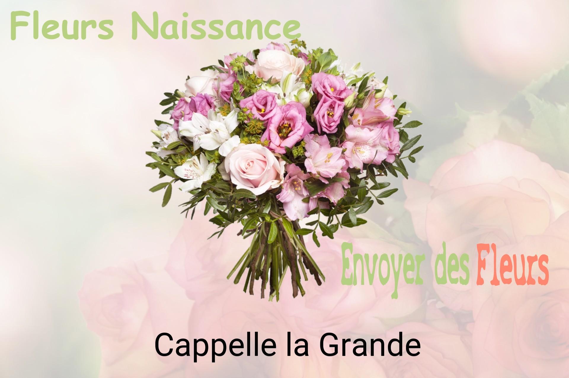 Bouquet de fleurs de naissance livré à Cappelle-la-Grande